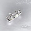 RINg012