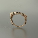 RINg001a