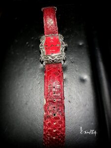 636812602_1583676642792572_8729431803148102459_n